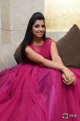 Anchor Syamala at Speedunnodu Movie Platinum Disc Function